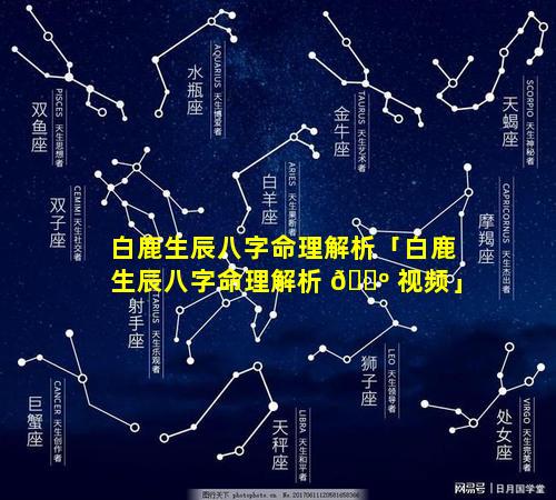 白鹿生辰八字命理解析「白鹿生辰八字命理解析 🐺 视频」